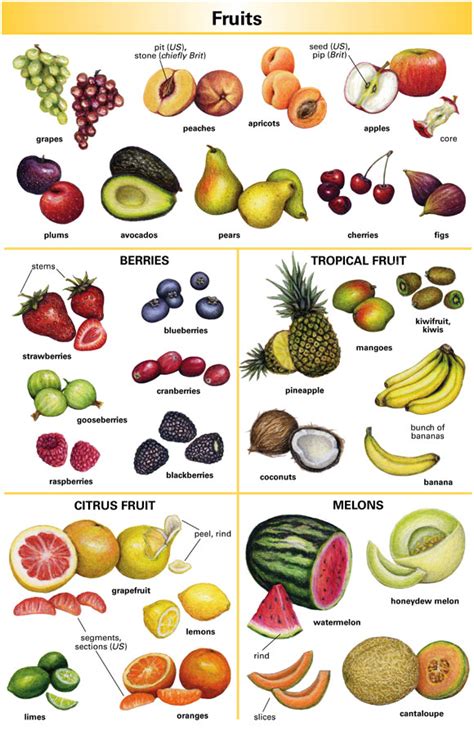 FRUITFUL definition and meaning .